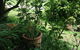 Crossways Country Inn - thumb 6