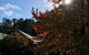 Crossways Country Inn - thumb 1