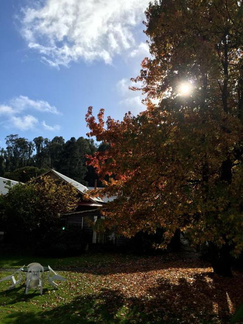 Crossways Country Inn - Accommodation Asia 1