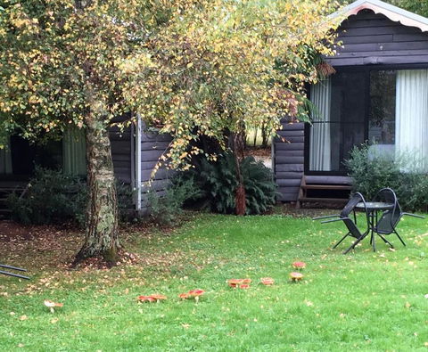 Crossways Country Inn - Accommodation Asia 4