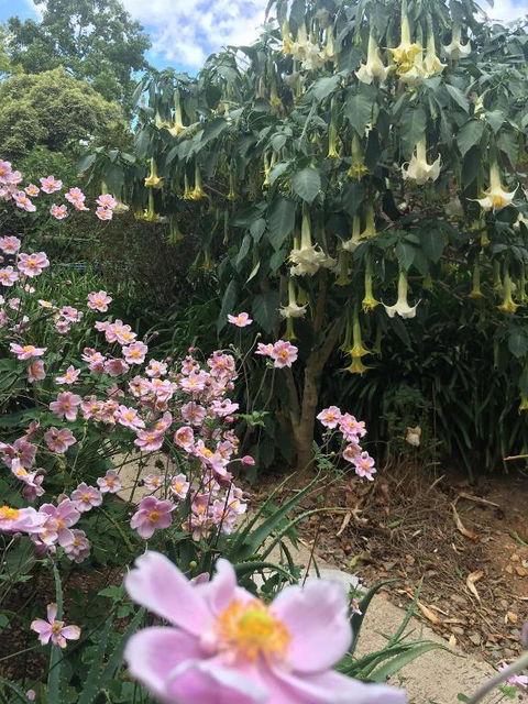 Adelaide Hills B & B Accommodation - Accommodation Asia 6