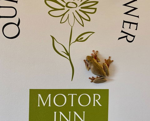 Quirindi Sunflower Motor Inn - Accommodation Guide 2