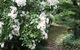 RiverCottage Selfcontained - thumb 4