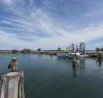 Bayside Beauty