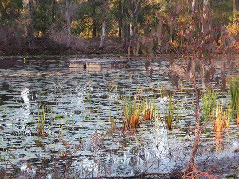 The Summit 1770 - Accommodation Asia 3