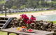 Kiama Beach Cottage At Easts Beach - thumb 0