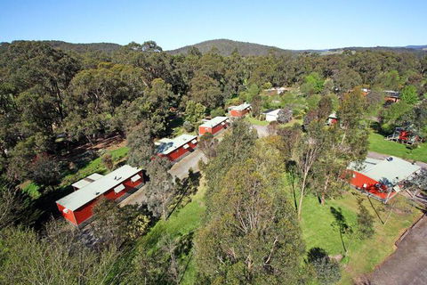Otways Tourist Park - Accommodation Guide 4