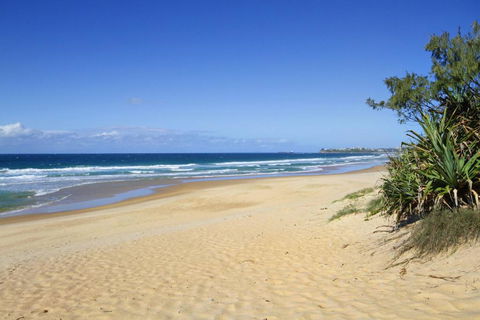 Ivy Street 7 Dicky Beach - Accommodation Asia 5