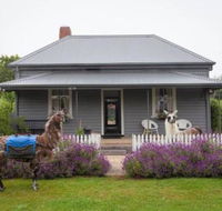 Domino House - Accommodation Guide