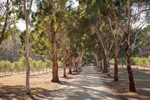 East Wing - Accommodation Guide 7