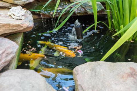 ULTRA SPACIOUS STYLISH HOME In PRESTONS SYDNEY - Accommodation Asia 3