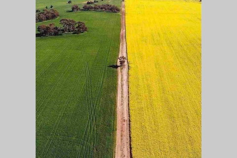 Salty Cottage Northam - Accommodation China 3