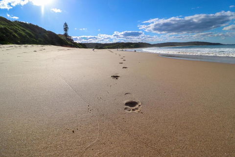 Surfers Paradise At Catherine Hill Bay - Accommodation Asia 2