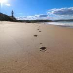 Surfers Paradise At Catherine Hill Bay - Accommodation Asia 0