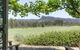 Belle Bois, Capertee Valley - thumb 4