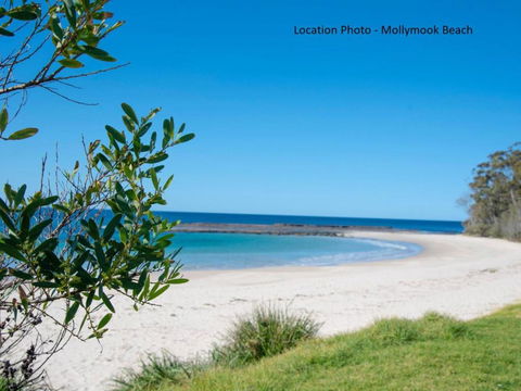 Tallwood Ave 77 Mollymook - Accommodation Asia 3