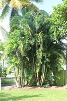 Yamacutta House - Accommodation China 1