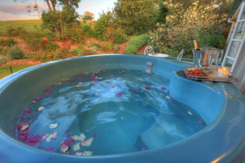 Maleny Homestead & Cottage - Accommodation Asia 4
