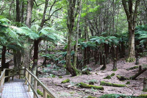 Wallace Lodge - Accommodation Guide 7