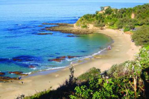 Pacific Studio Nambucca Heads - Accommodation Asia 5