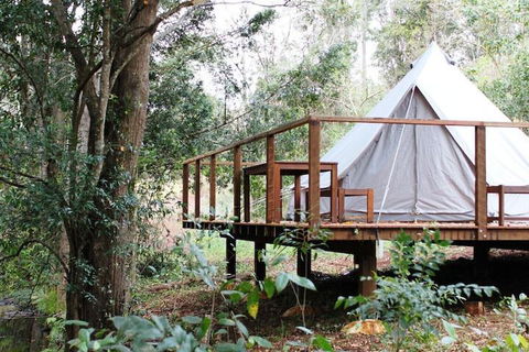 Stonehouse Farm Glamping - Accommodation Guide 5
