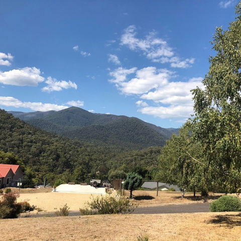 Alpine Stag Lodge House - Accommodation Guide 5