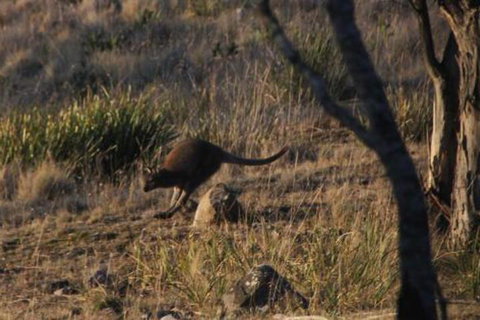 The Great House Bnb - Accommodation Asia 3