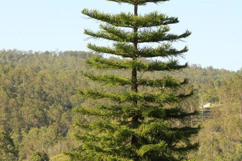 KooralBnB - Accommodation China 3