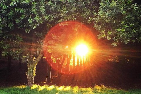 Glamping Byron Bay - Accommodation Guide 7