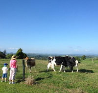 MilaViews - Accommodation Guide