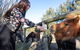Jervis Bay Luxury Farm Escape - thumb 5