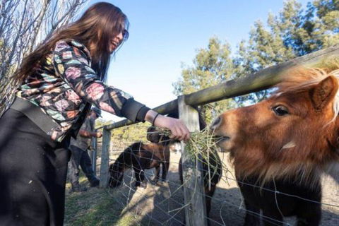 Jervis Bay Luxury Farm Escape - Accommodation Asia 5