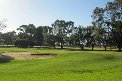 Barmera Country Club Motor Inn - Accommodation Asia 3