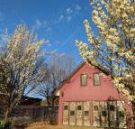 Magenta Cottage - Accommodation Asia