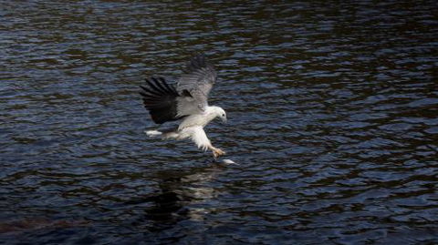 Arthur Riverfront & Sea Lodge Upstream - Accommodation Guide 1