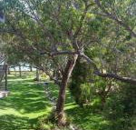 36 Bay Parklands 2 Gowrie Avenue close to the water with pool  spa  tennis court - Accommodation Guide