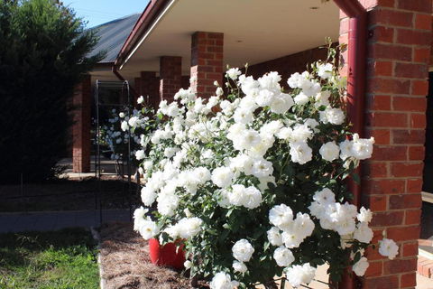Gundaroo Manor Bed & Breakfast - Accommodation Guide 1