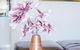 Bondi Beachfront Stay - thumb 4