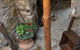 Woollamia Village Retreat - thumb 1