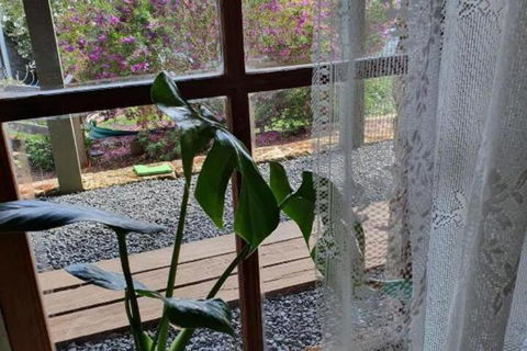 The Green Welly Stop - Accommodation Guide 5