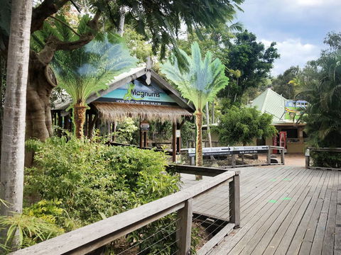 Magnums Airlie Beach - Accommodation Guide 5