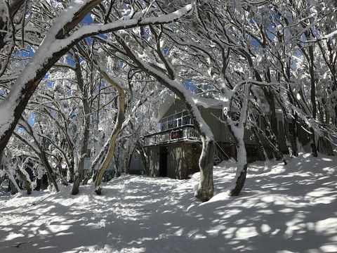 Amber Lodge Mt Buller - Hostel - Accommodation Guide 2
