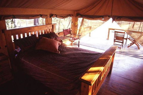 Jabiru Safari Lodge - Accommodation Guide 0