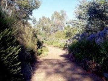 Cockatoo Valley SA Accommodation Asia