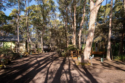 Lake St Clair Lodge - Accommodation Asia 2