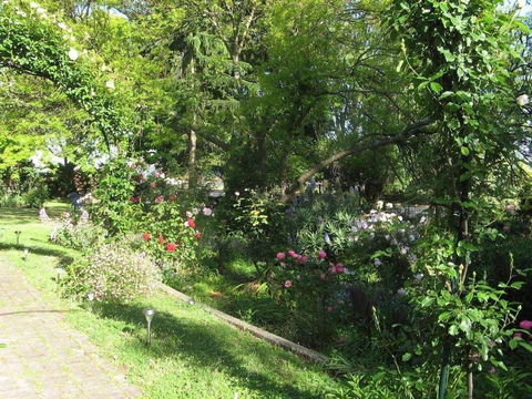 Westella Colonial B&B - Accommodation Guide 6