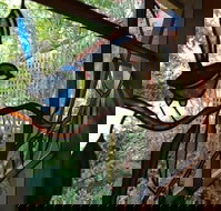 Bright Highland Valley Cottages - Accommodation Asia