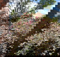 Merrimeet Cottages - Accommodation Asia