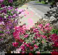 Gatekeepers Traditional Bed  Breakfast - Accommodation Asia