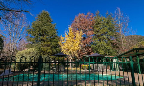 The Birch House - Silver Birches - Accommodation Asia 1